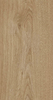 Variant 2