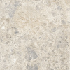 Variant 3
