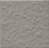 Variant 1