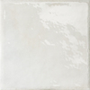 Variant 1