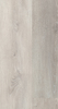 Variant 1