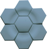 Variant 1
