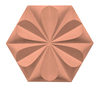 DKCN 36