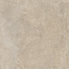 Variant 1