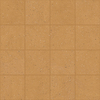 Variant 1