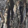Variant 2