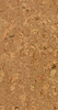 Variant 3