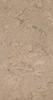 Variant 1
