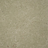Variant 3