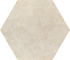 Variant 1