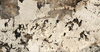 Variant 1