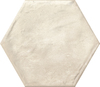 Variant 1