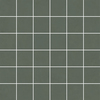 Variant 1