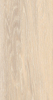 Variant 1