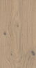 Variant 1