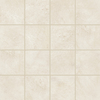 DMAG 31 Mosaic