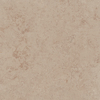 Variant 3