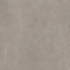DMAG 113