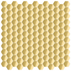 Variant 2