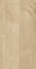 Variant 3