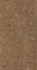 Variant 2