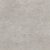 DCSNF 03 Fossil