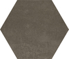 DGCS 10 Hexagon