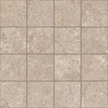 DMAG 197 Mosaic
