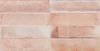 Variant 1