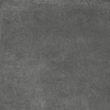 Variant 1