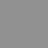 DMSC 10